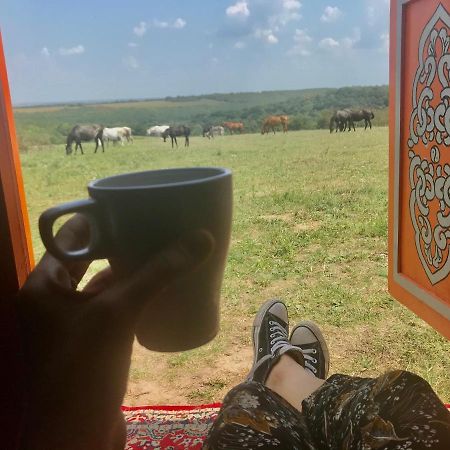 Dharma Horse Shelter Bungalows & Farmping Шіофок Екстер'єр фото