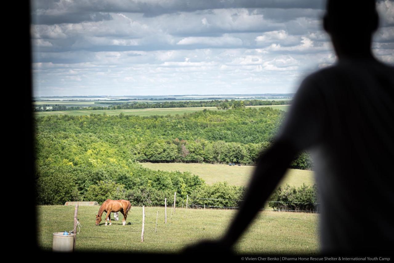 Dharma Horse Shelter Bungalows & Farmping Шіофок Екстер'єр фото