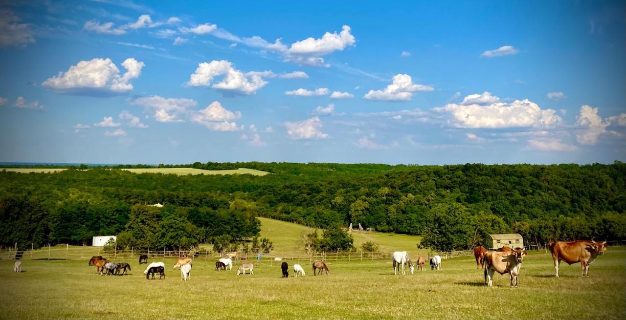 Dharma Horse Shelter Bungalows & Farmping Шіофок Екстер'єр фото